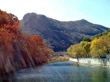 新澳天天开奖资料大全旅游团，玉田seo关键词优化